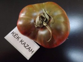 Kék Kazah paradicsom - Paradicsom különlegességek az Egzotikus Növények Stúdiója kínálatából